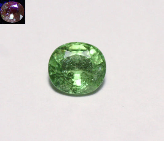 Merelani Mint Grossular Garnet 0.98ct 6.5x5.5mm Rare Vivid Green Faceted Gem