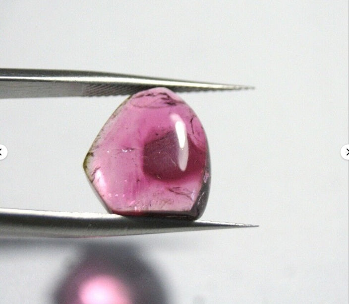 BiColour Tourmaline Slice 6.7ct Polished Tourmaline Madagascar 13x12mm