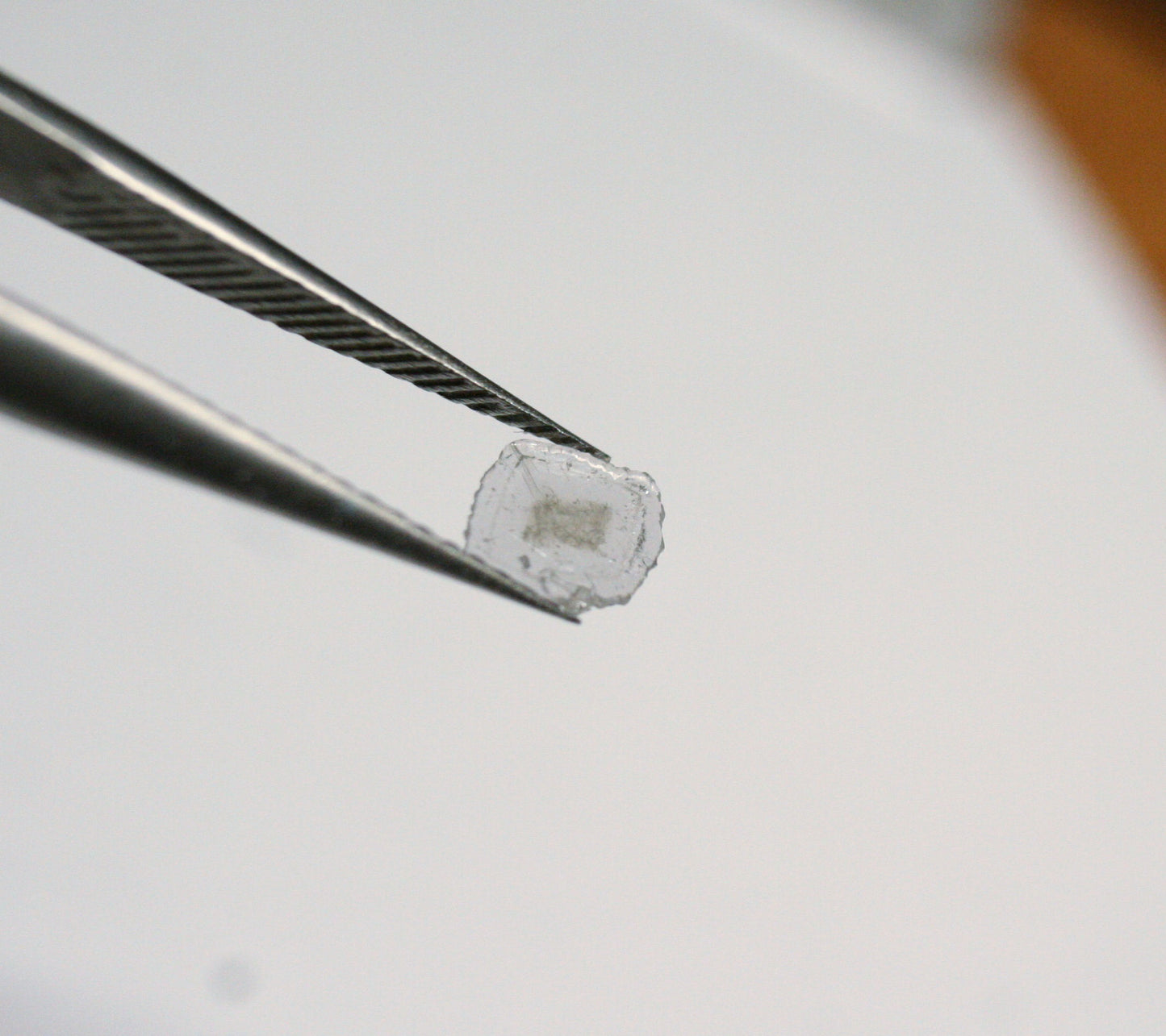 Diamond Slice 0.16ct Salt & Pepper Polki Natural Diamond South Africa 5x5mm